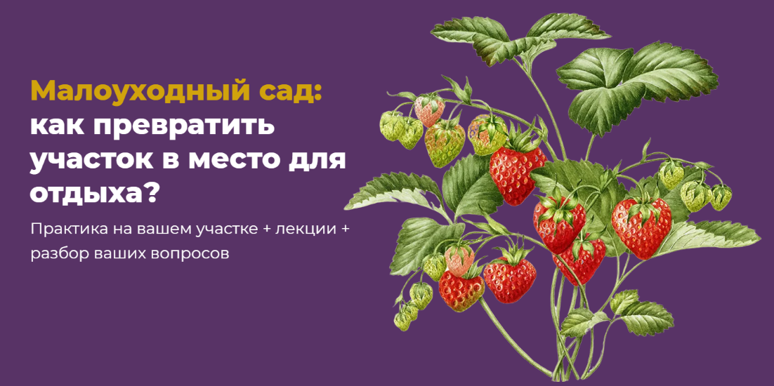 [Школа Сада] Мария Шашкова ― Малоуходный сад_ как _0.png